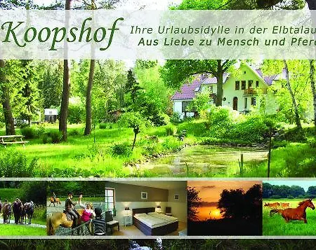 Sternenhimmel Apartment Bleckede