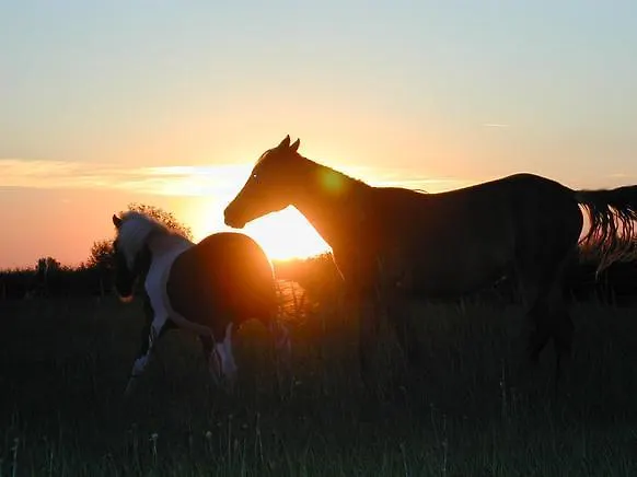 Appartamento Sternenhimmel