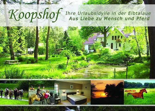 Sternenhimmel Appartamento Bleckede