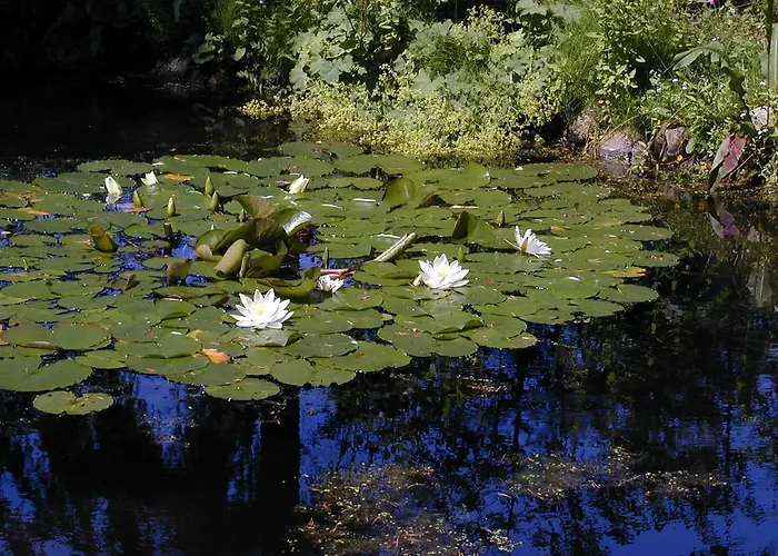 Sternenhimmel Bleckede